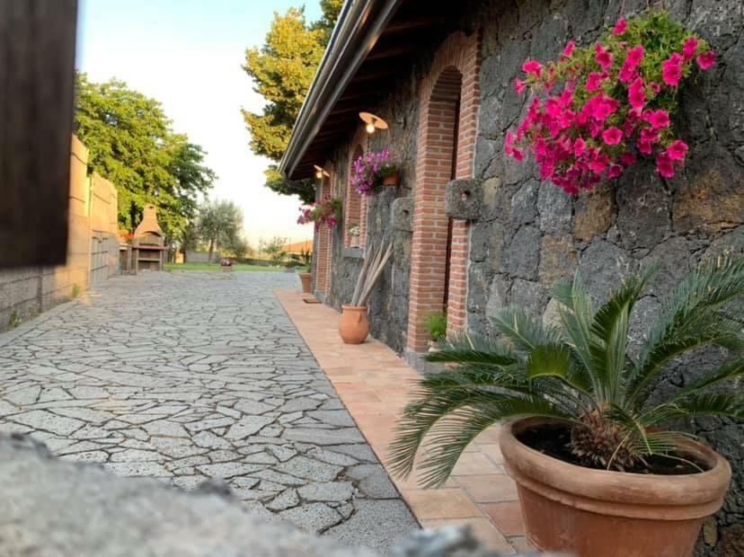 Il Tiglio Διαμέρισμα Viagrande Εξωτερικό φωτογραφία